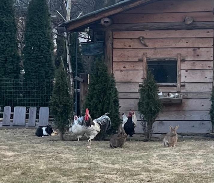 B&B Casa Il Sasso Пинцоло Экстерьер фото
